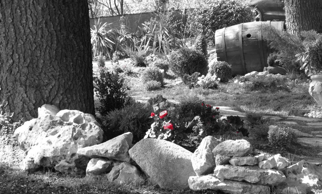 B&B Chalet I Colli Casalecchio Di Reno Exterior foto
